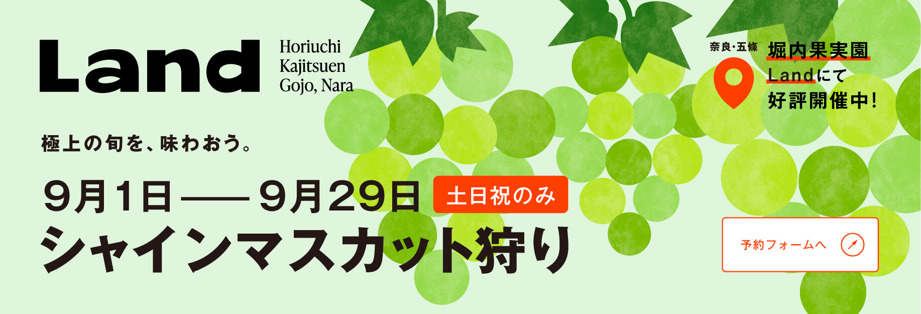 9月1日ー9月29日(土日祝のみ) シャインマスカット狩り 開催中！