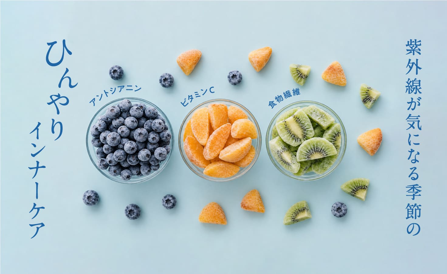 専用ページ HELLO様 果物 堀内果実園オンラインショップ