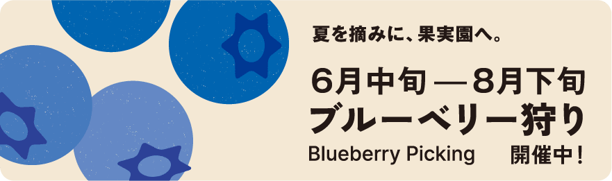 夏を摘みに、果実園へ。 6月中旬ー8月下旬 ブルーベリー狩り Blueberry Picking 開催中！