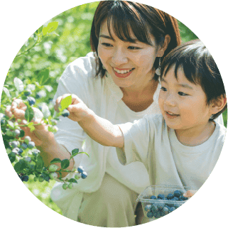 ブルーベリー狩りの様子