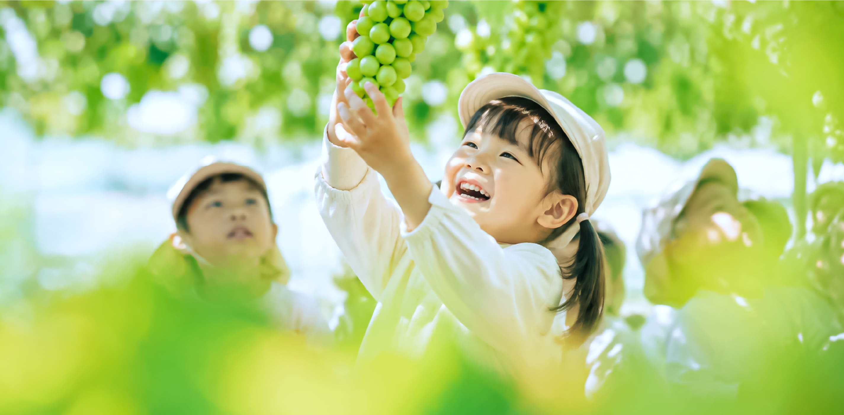 食と体験を、学びに。団体・教育向け体験プログラム