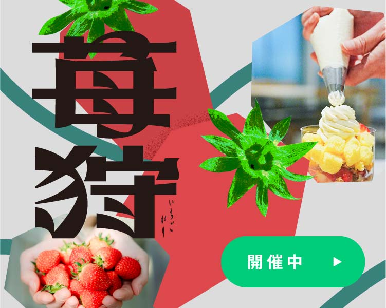 開催中の体験・イベント