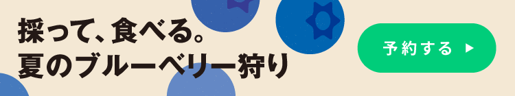 ブルーベリー狩り