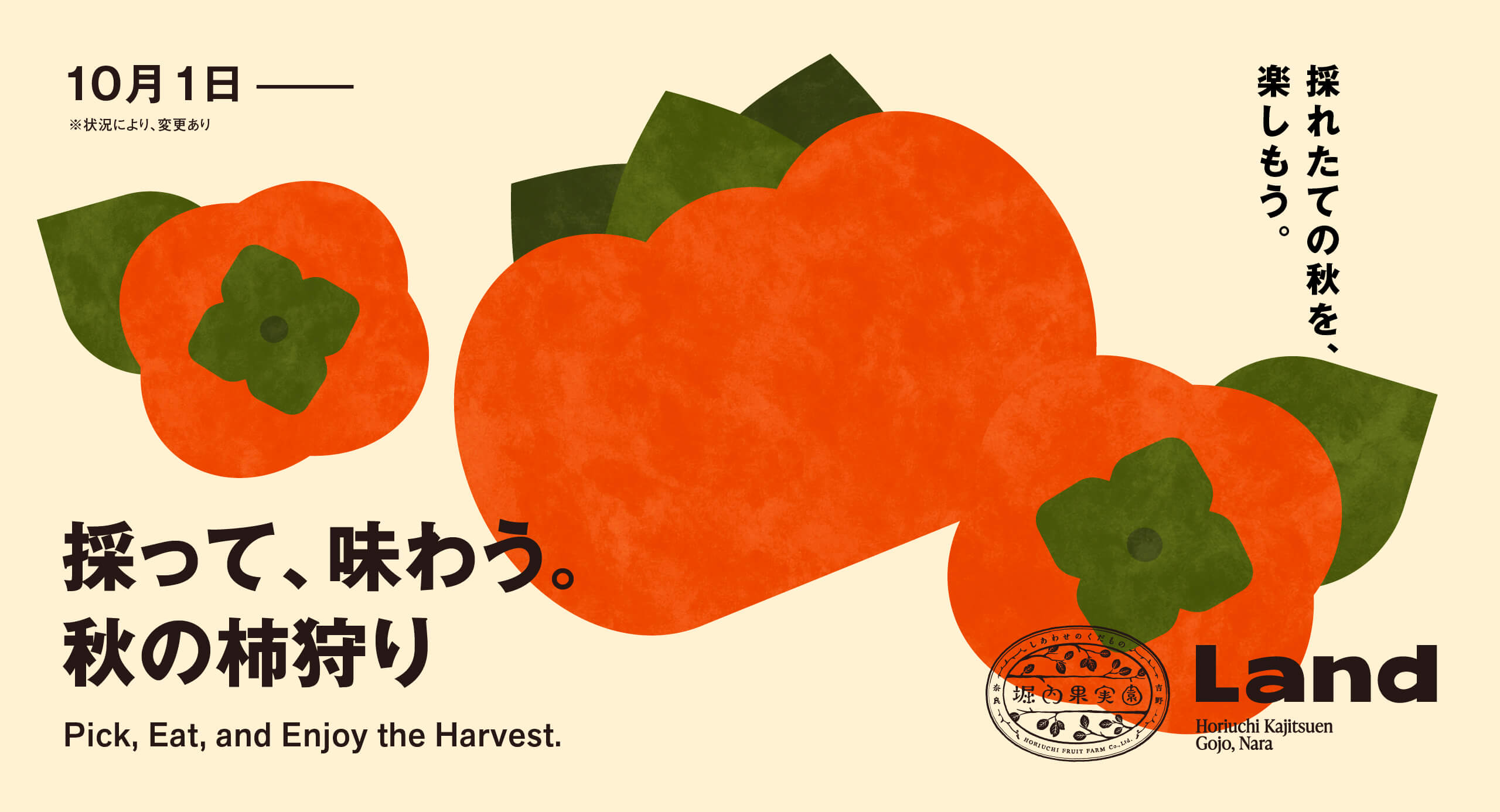 旬の柿を自分の手で収穫。60分間の食べ放題や、フルーツ大福作りも楽しめる秋の収穫体験